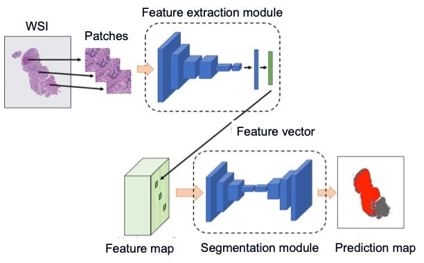 Overview of the proposed method