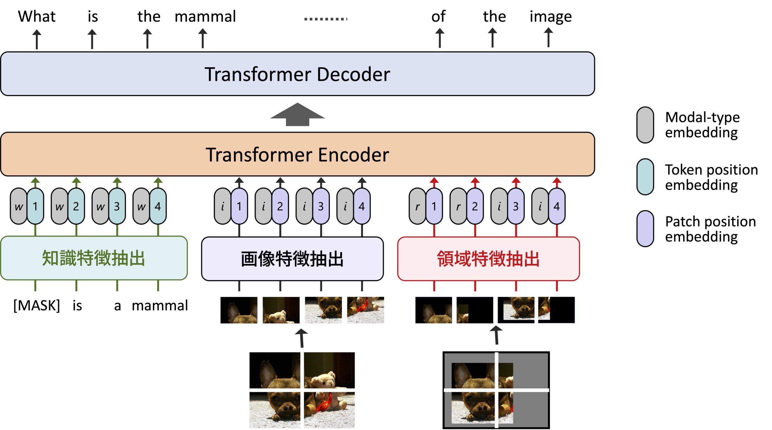 質問生成モジュールの詳細．知識・画像・画像中の物体領域をエンコードし，テキストデコーダーで文章を出力するように学習します．